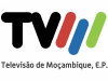 logo-tvm-thegem-person