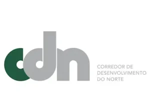 logo-cdn-nampula-thegem-person