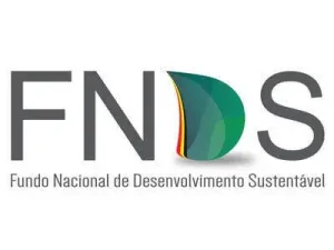 logo-fnds-thegem-person